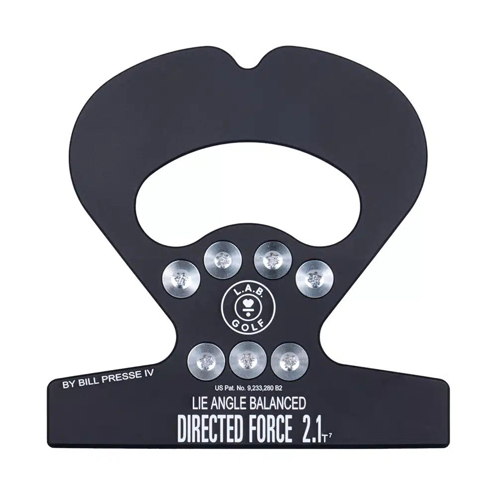 DF 2.1 - Custom