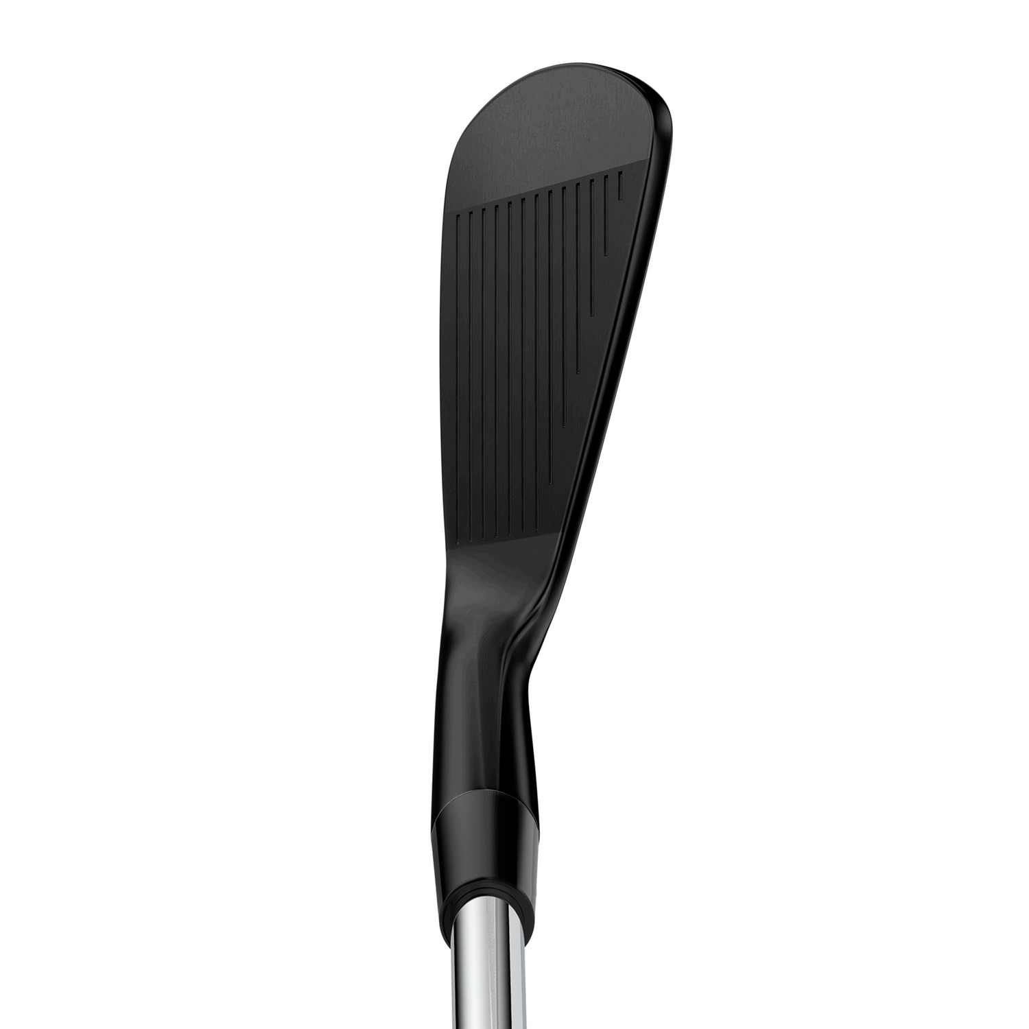 Miura | MB-101 QPQ