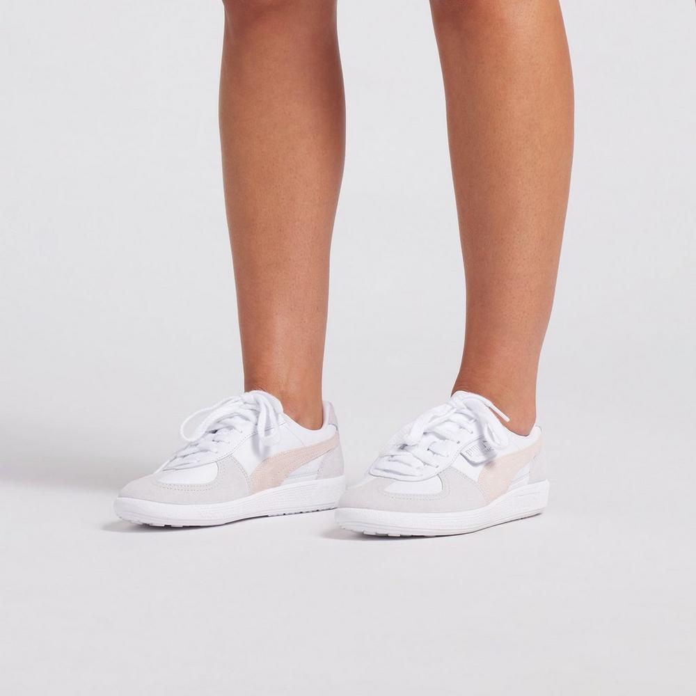 W Puma Palermo G
